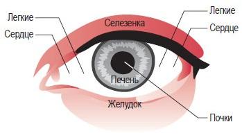 Как по глазам определить болезнь картинки